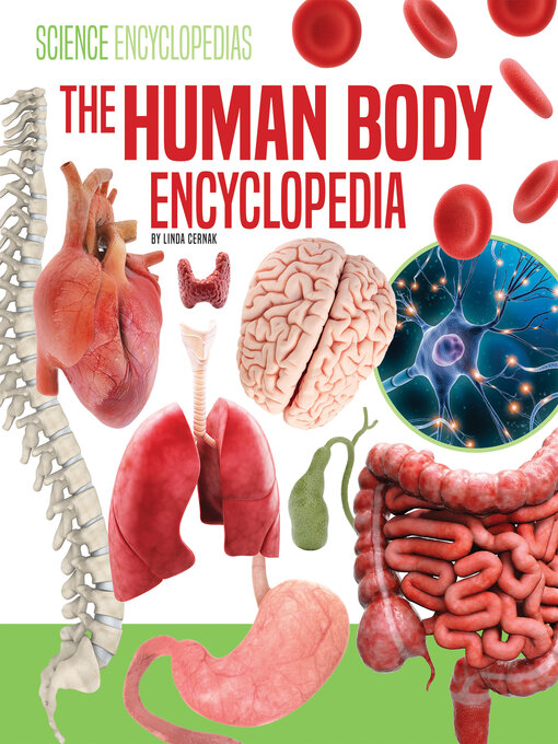 Title details for Human Body Encyclopedia by Linda Cernak - Available